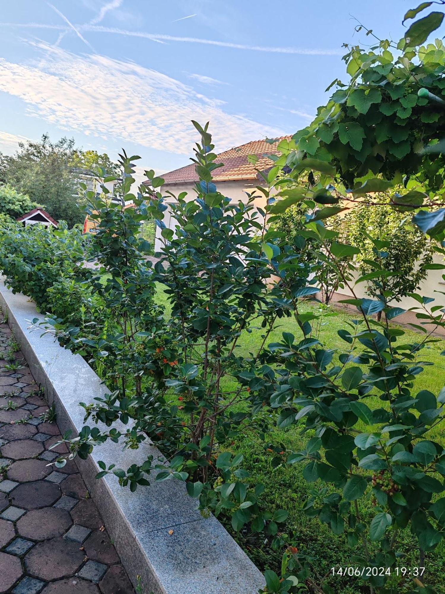 Guesthouse Jelic Teslić Екстериор снимка